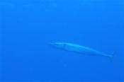 shin080824 (7)_R.jpg